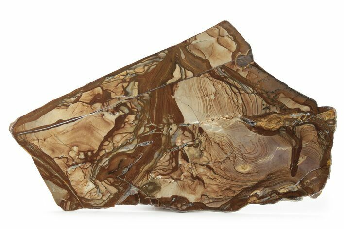 Polished Biggs Jasper Slab - Oregon #227992